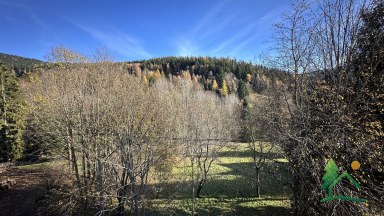 Prodej pokoje v horské chatě Krosnov – Horní Dušnice