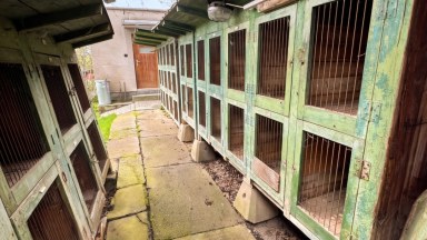 Venkovský rodinný dům s pozemkem 1 835 m² a zázemím pro soběstačný život