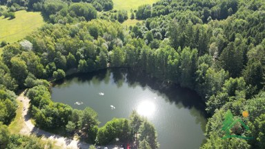 Rodinný dům v klidné lokalitě s pozemkem 2 077 m², obec Bošov
