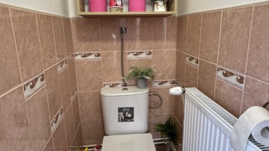 Rodinný dům po kompletní rekonstrukci 3+1, CP 925m2, Nemošice, Pardubice